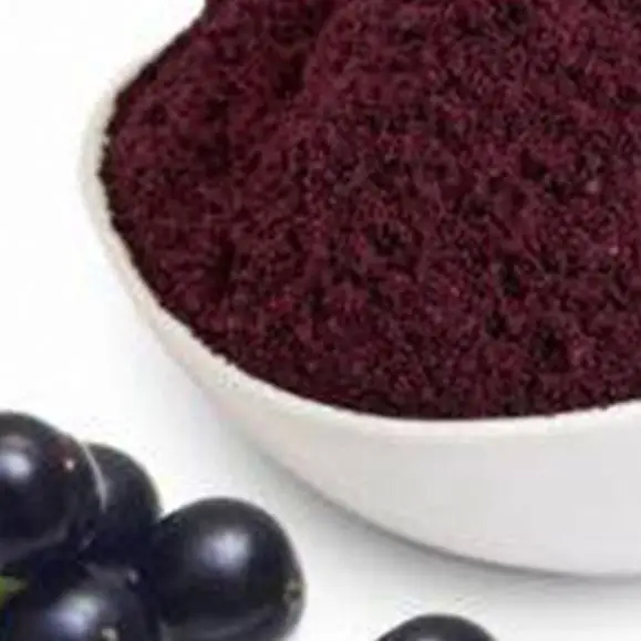 
Free sample Organic Elderberry Extract Powder/Anthocyanidins / elderberry P. E. 