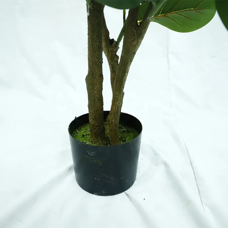 Gourd Leaves Plants Selling Bonsai Online Natural, Artificial Plant With Pots
