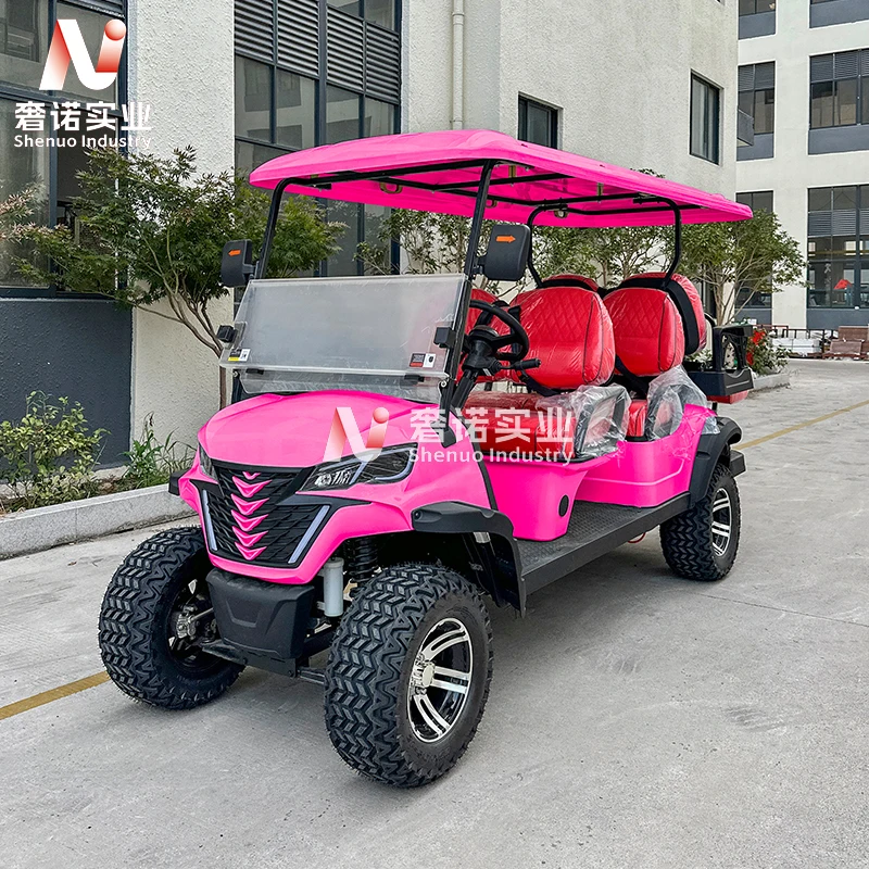 2 4 6 8 Seater petrol Golf Cart Street Legal Small Cart gasoline Golf Cart