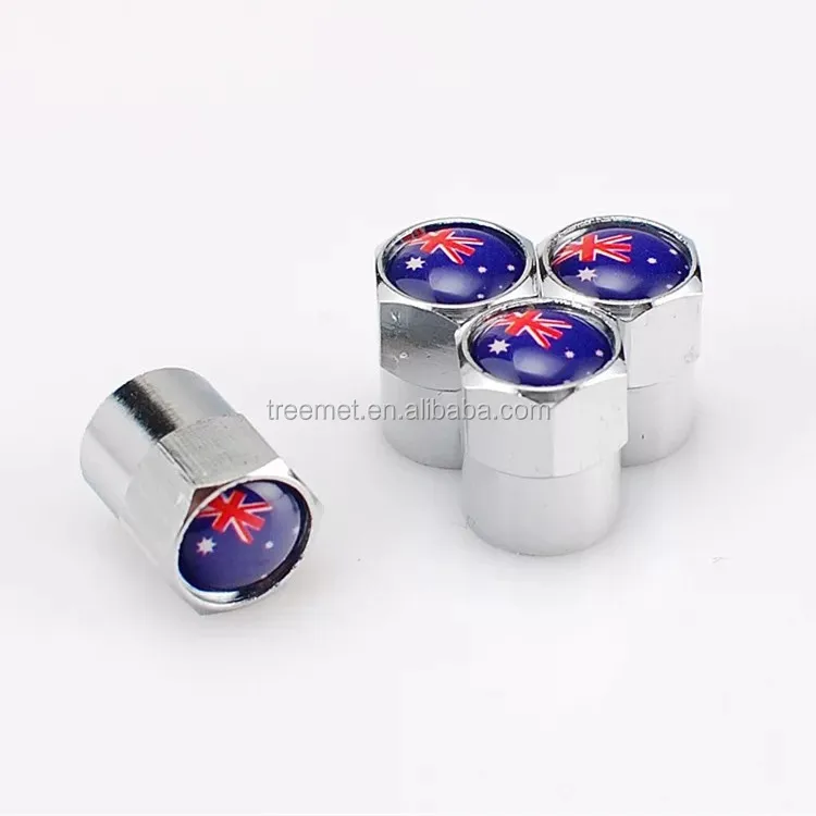 
4Pcs Silver Metal Car Wheel Tire Air Valve Caps Stem Cover with Color Brand Logo 