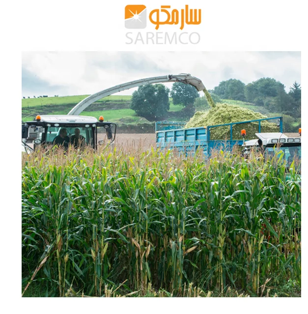 Corn silage (cattle feed) drying corn silage hay baler exporter Oman/ Kuwait