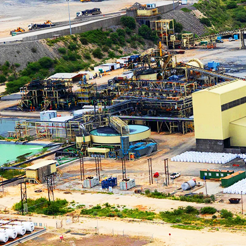 100Tpd Nickel Flotation Plant With Maximum Feeding Size Nickel Production Line With Best Sales Service