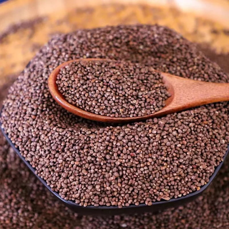 Wholesale new goods perilla seed oil green perilla seed