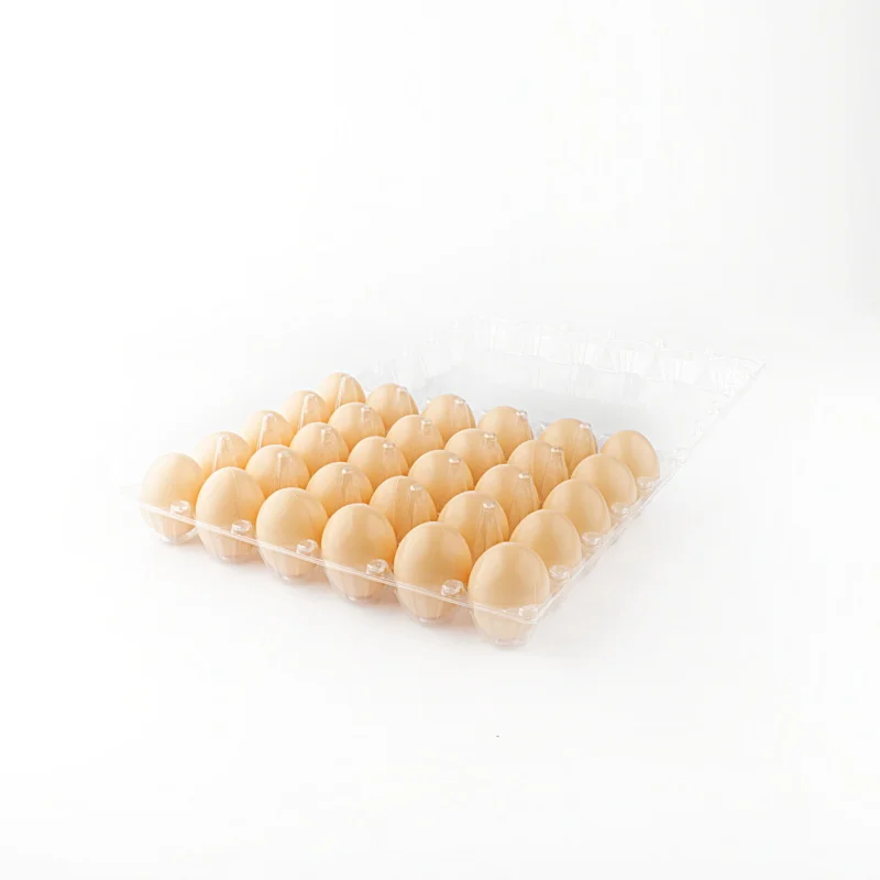 PET quail egg trays paper wholesale factory price 12 egg tray storage and transportation egg plastic tray