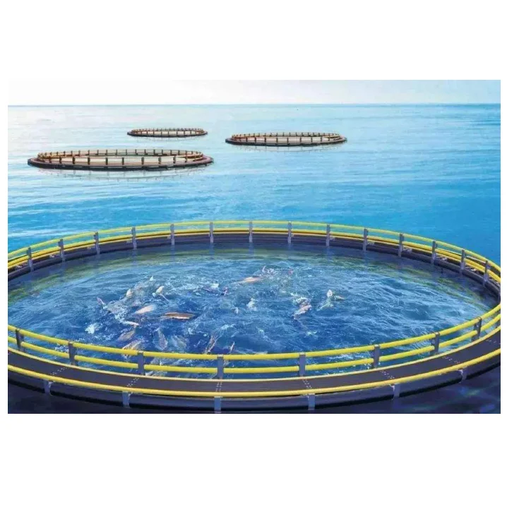 Round Cage in Deep Sea for Salmon Fish Farm