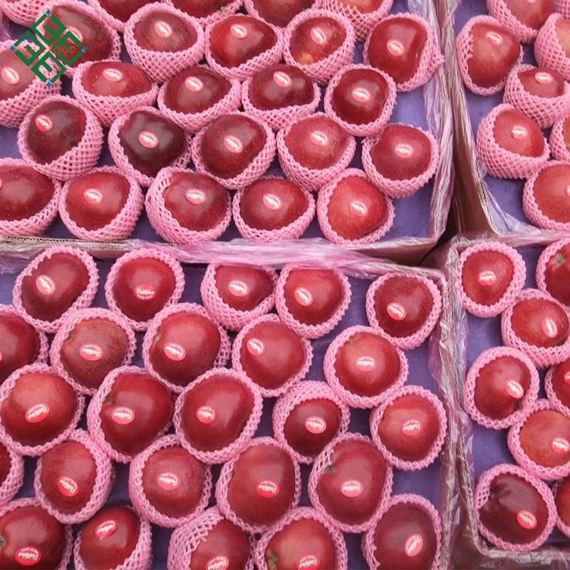 Импортеры свежих фруктов, свежие яблоки, свежие яблоки, яблоки fuji, область yantai