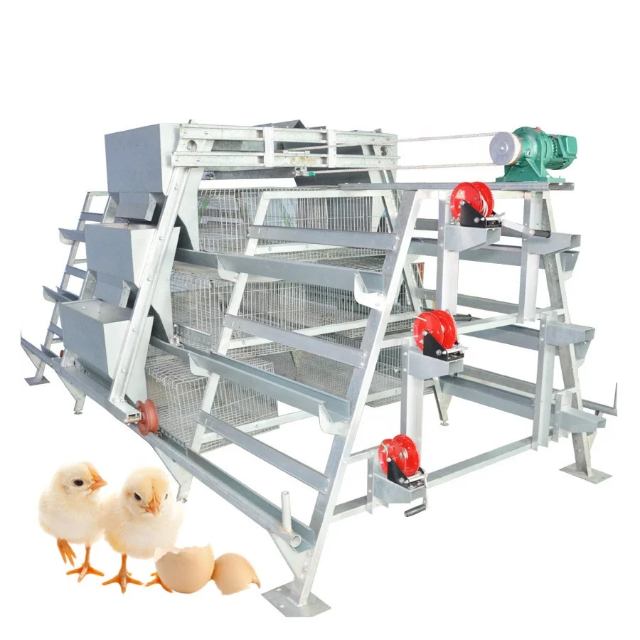 Poultry Farm Equipment Hot Dipped Galvanized a Type 3 Tiers Pullet Layer Rearing Chicks Chicken Cage for Sale