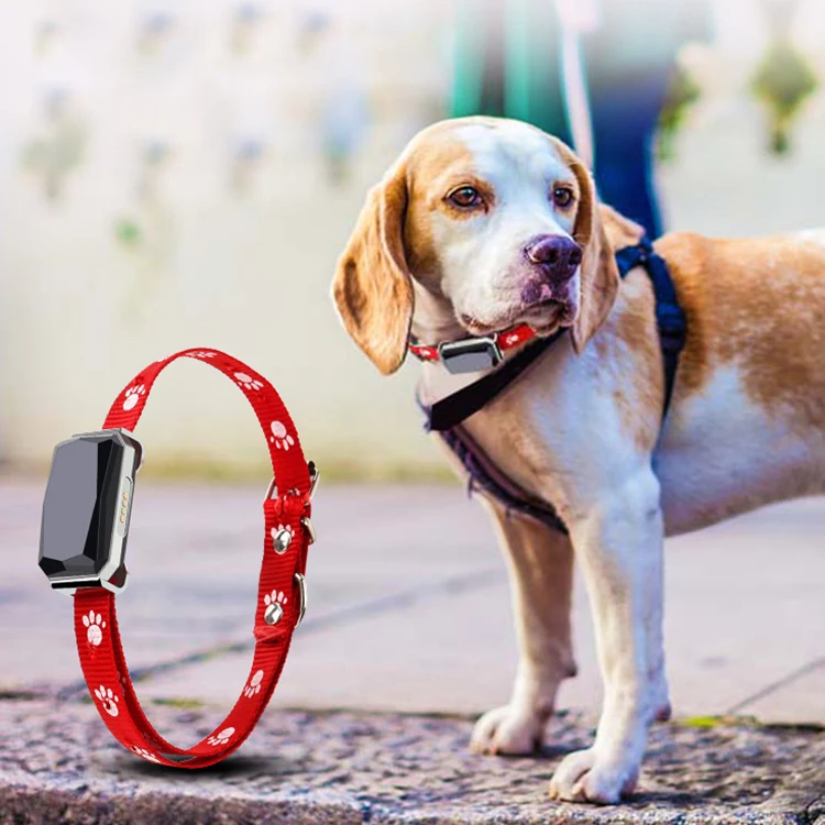 
High quality mini GPS locator for pet cat and dog gps traker BT 