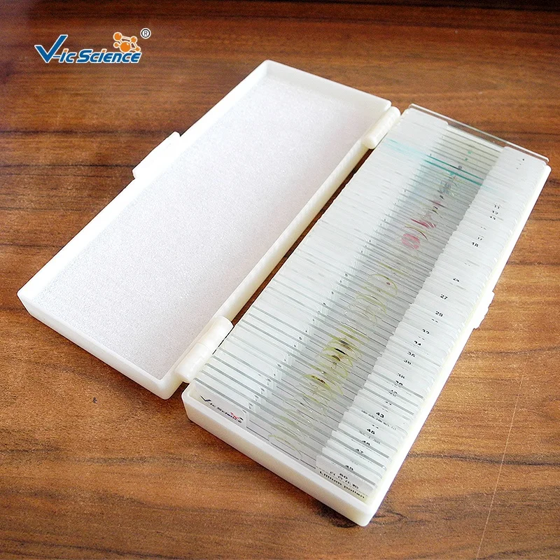 50 Kinds Parasite Slides Set Student Medical Parasitology Prepared Slides