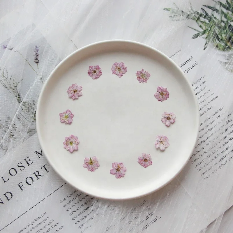 12pcs/pack Chinese Bush Cherry With Stem Pressed Flower For Frame Phone Case Candle Resin Art