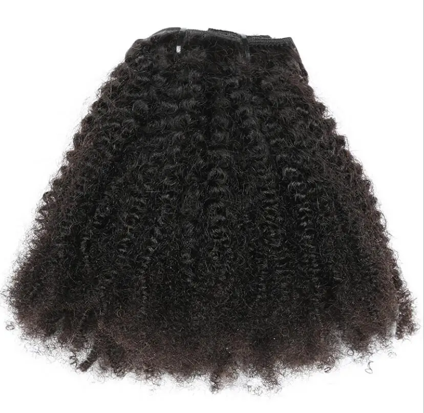 4A Afro Kinky Curly Clip In Hair Extensions for Black Women Cuticle Aligned Raw Virgin Brazilian Remy