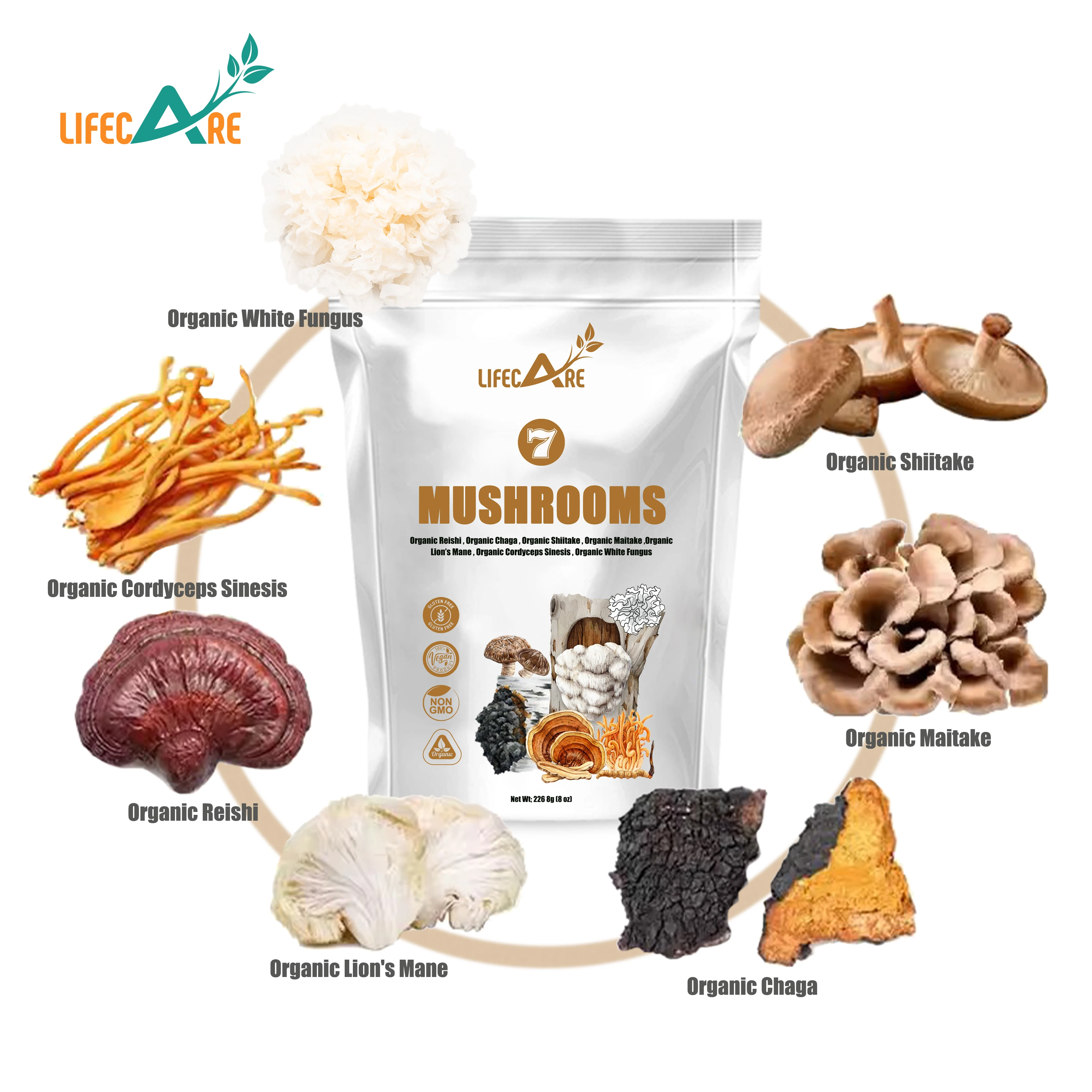 Private Label Mushroom Supplements 7 in 1 Mushroom Blend Powder Mushroom Powder