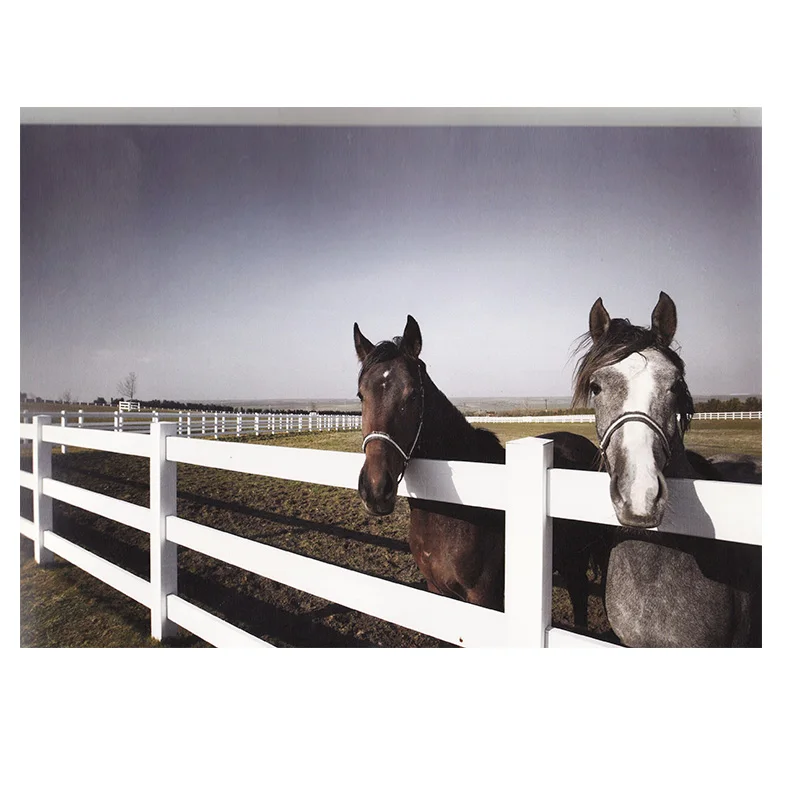 Hot Sale 3 Rails PVC Horse Fence (Strong UV Protection) Vinyl Farm fence