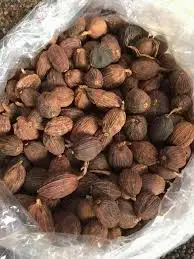 DRY BLDRIED BLACK VIETNAM CARDAMOM with the High Quality Best Price Spices & Herbs Products - What.sapp 0084 989 322 607