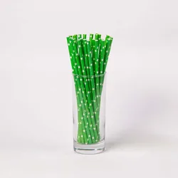 march expo Hot sale eco friendly Biodegradable Cocktail Drinking Straws wood pulp  Drink Paper Straw
