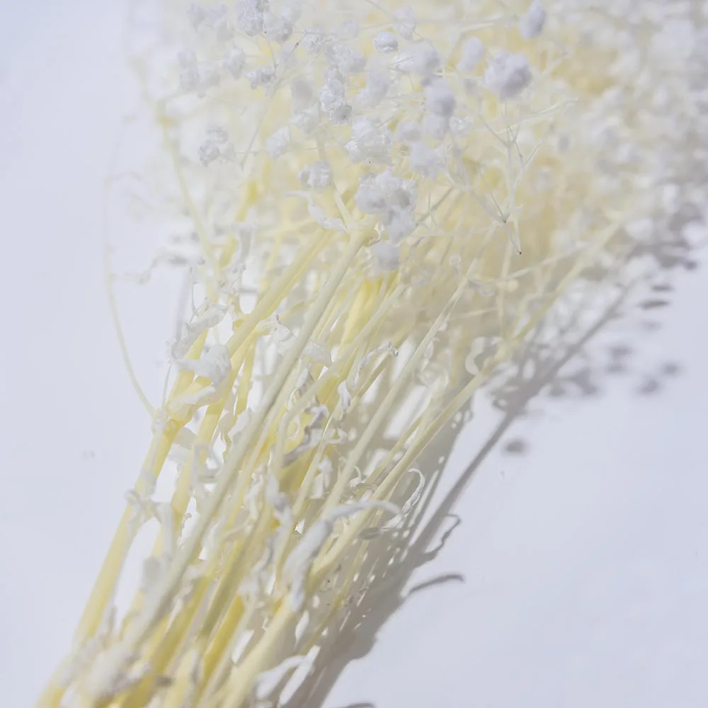 UKIQUEEN Wholesale 70cm Bleached White Decorative Dried Flowers Baby Breath Preserved Gypsophila