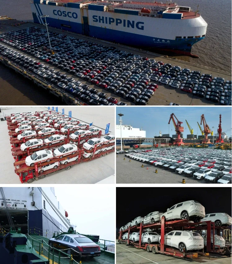 Byd 2024 Song Plus Honor Dm-I 110km Electric SUV with Byd Technology