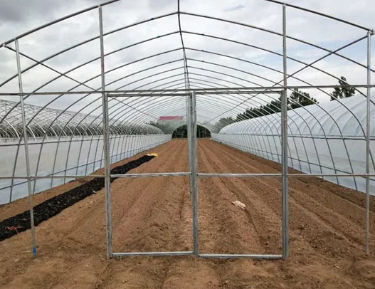 Factory direct price greenhouse frame Agricultural Multi Span Polycarbonate film Complete Set Greenhouse