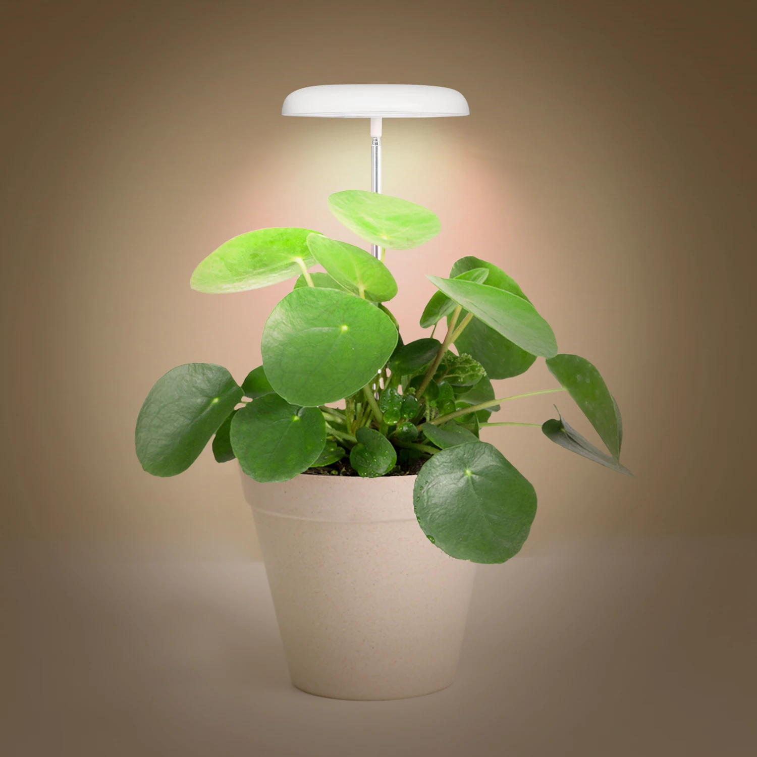 herb garden plant grow lamp smart indoor plant garden automatic timer indoor herb garden growing kit flower pots and planters