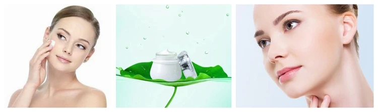 Natural Forskolin Coleus Forskohlii Root Extract Forskolin Powder.jpg