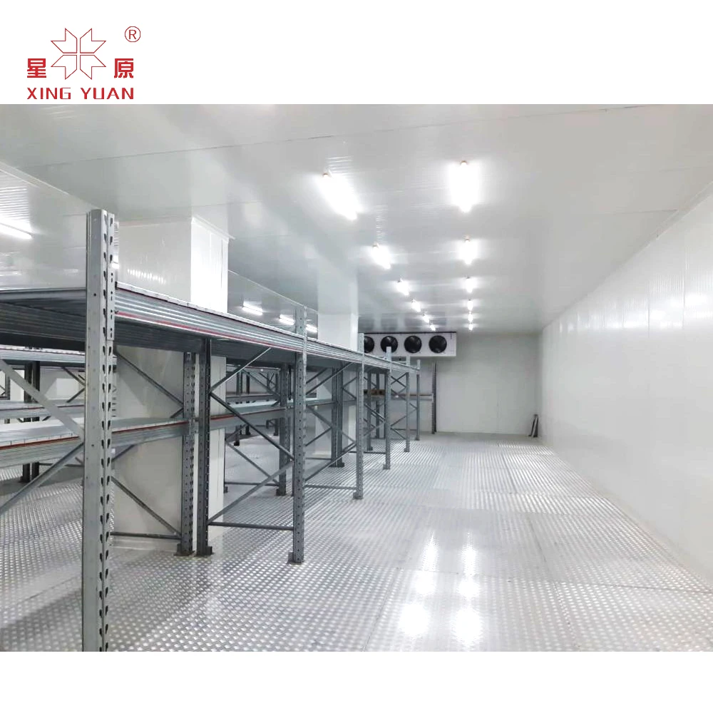 blast freezer cold room for seafood, fish cold room storage from dubai