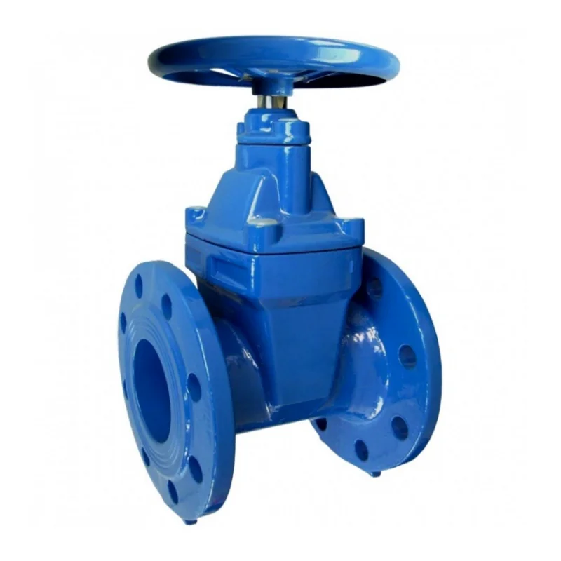 DIN F4 Cast Iron Soft Sealed Gate Valve