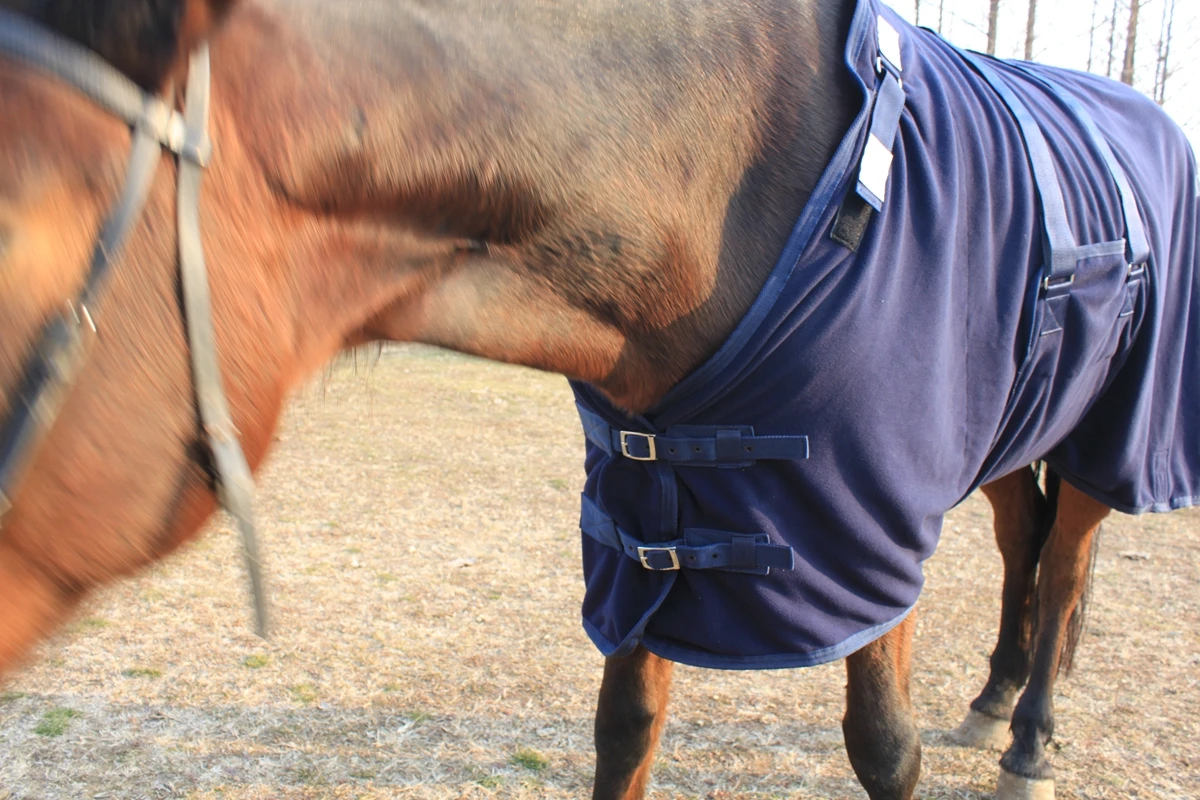 horse polar Fleece rug Standard Sheet fleece Blanket Horse Rug Equestrian Warm Rugs Breathable