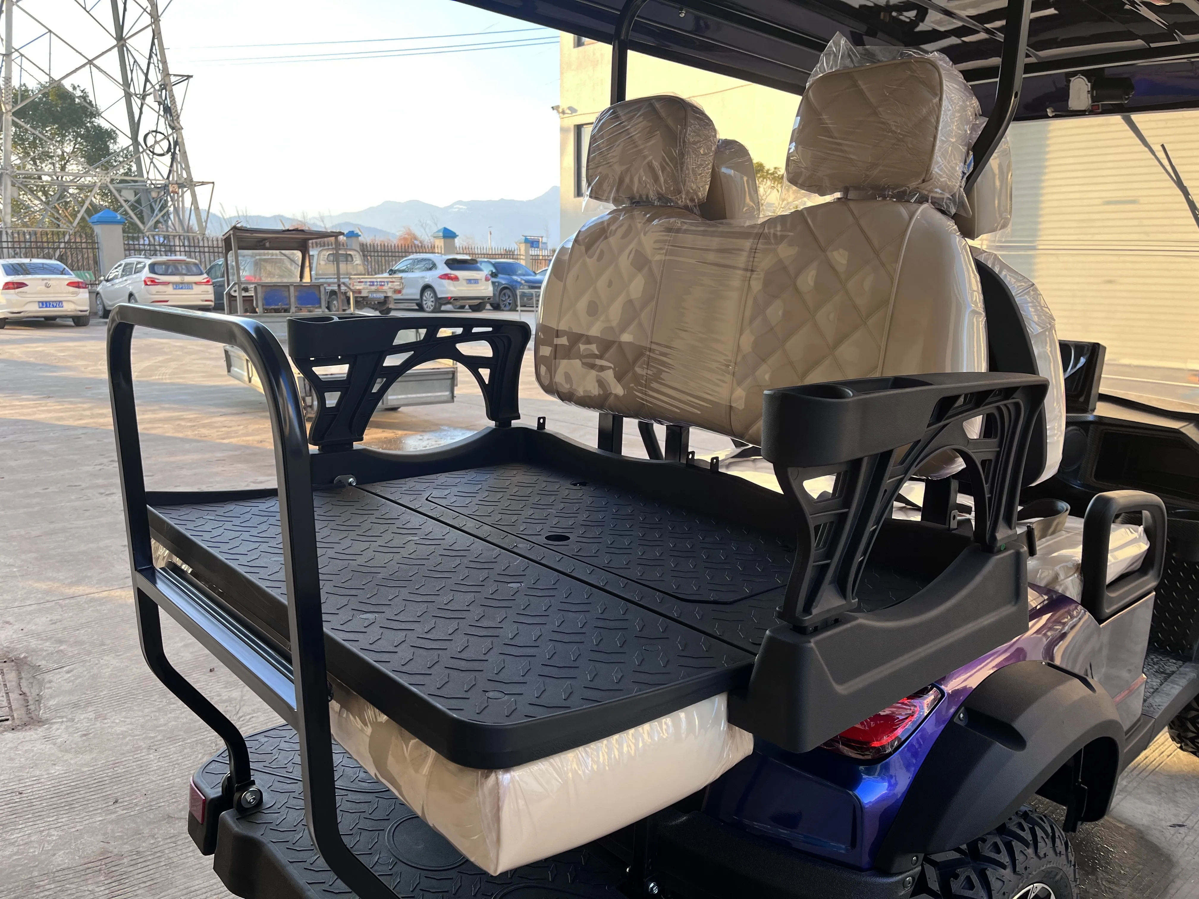 Shining Brand New 6 Person 300cc Gasoline Golf Car 6 Seater Gas Golf Cart