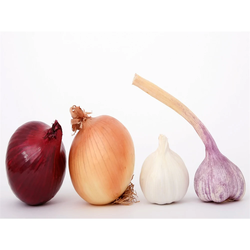 Best Quality Organic Wholesale Garlic Price for Fresh Purple Garlic