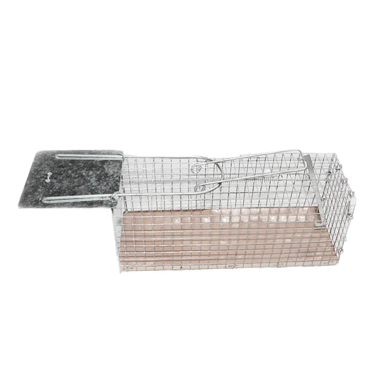 Eco-Friendly Custom PP Material Outdoor Pest Control Glue Trap Square Shape Light Design Plant Motif Attractive Wild Boar Rat