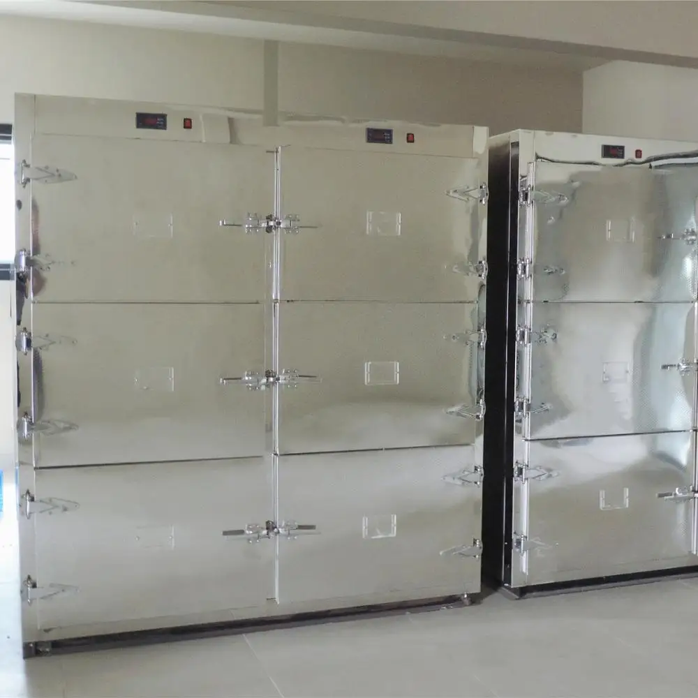 2020 Morgue Chamber Temperature -10 to -30 Four bodies CE