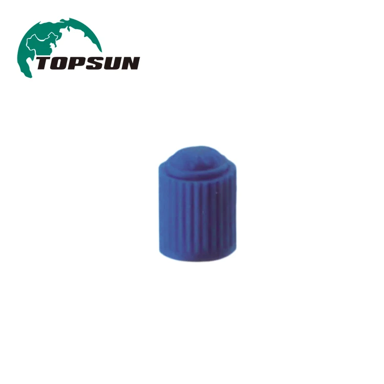 CA1-CU Valve