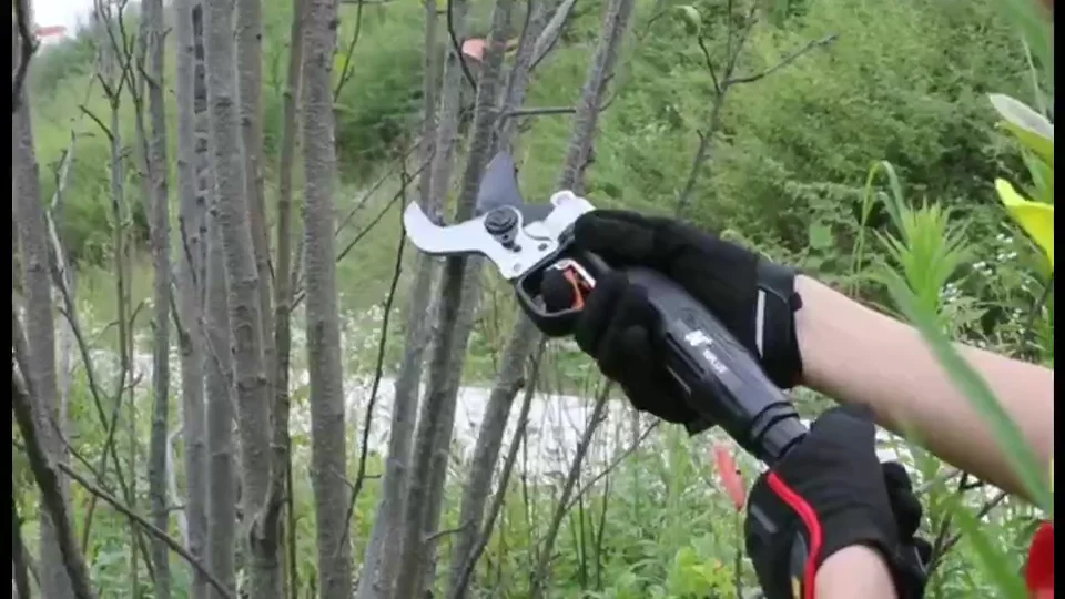 Professional Cordless Electric Pruner Scissors Battery Powered 36V Telescopic Tree Long Reach Pole Pruner Shear