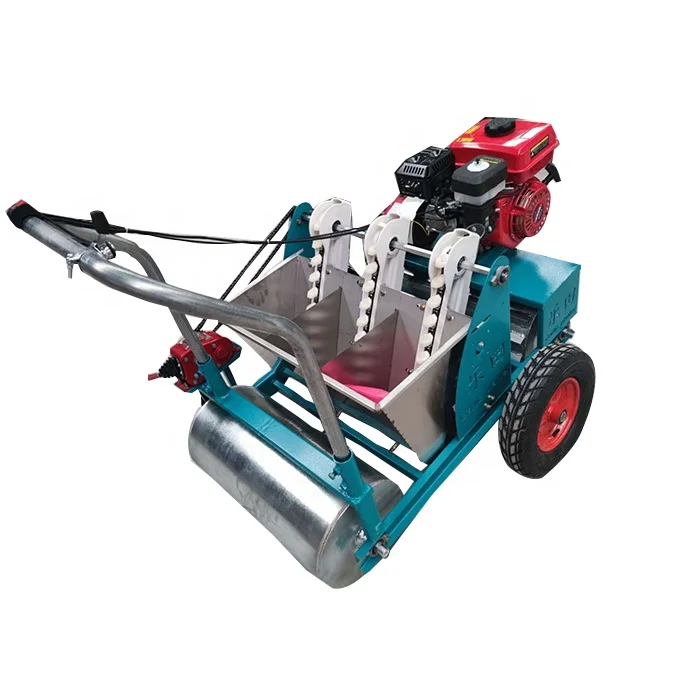 Agriculture hand push Garlic planting/cultivation machine garlic planter for sale