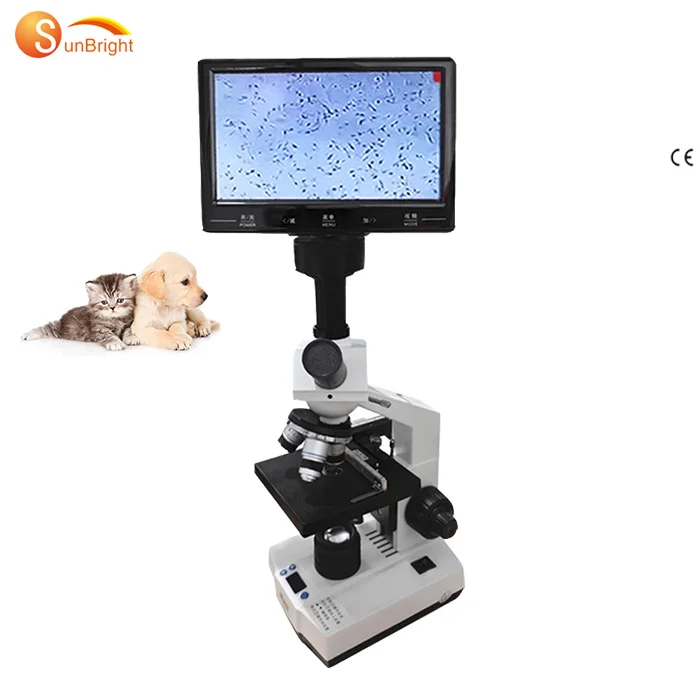 Laboratory Biological Veterinary Microscope Thermostat Microscope for Veterinary