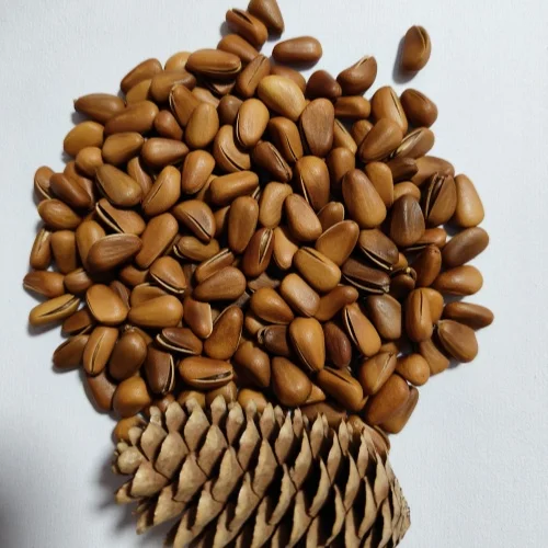 Organic Pine Nuts from Northeast China Bulk Packaged Roasted Dried Food Nut Rich in Nutrients Agriculture Product