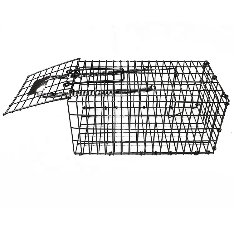 Trap Animal Hunting Equipment Animal Trap Laboratory Rat Cages Bird Trap Cage