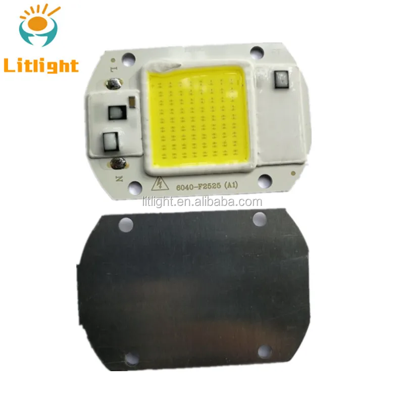 F6040 driverless White, full spectum 20W 30W 50W AC 110V 220V Input Smart IC COB LED Chip For DIY Floodlight Spotlight Grow lamp