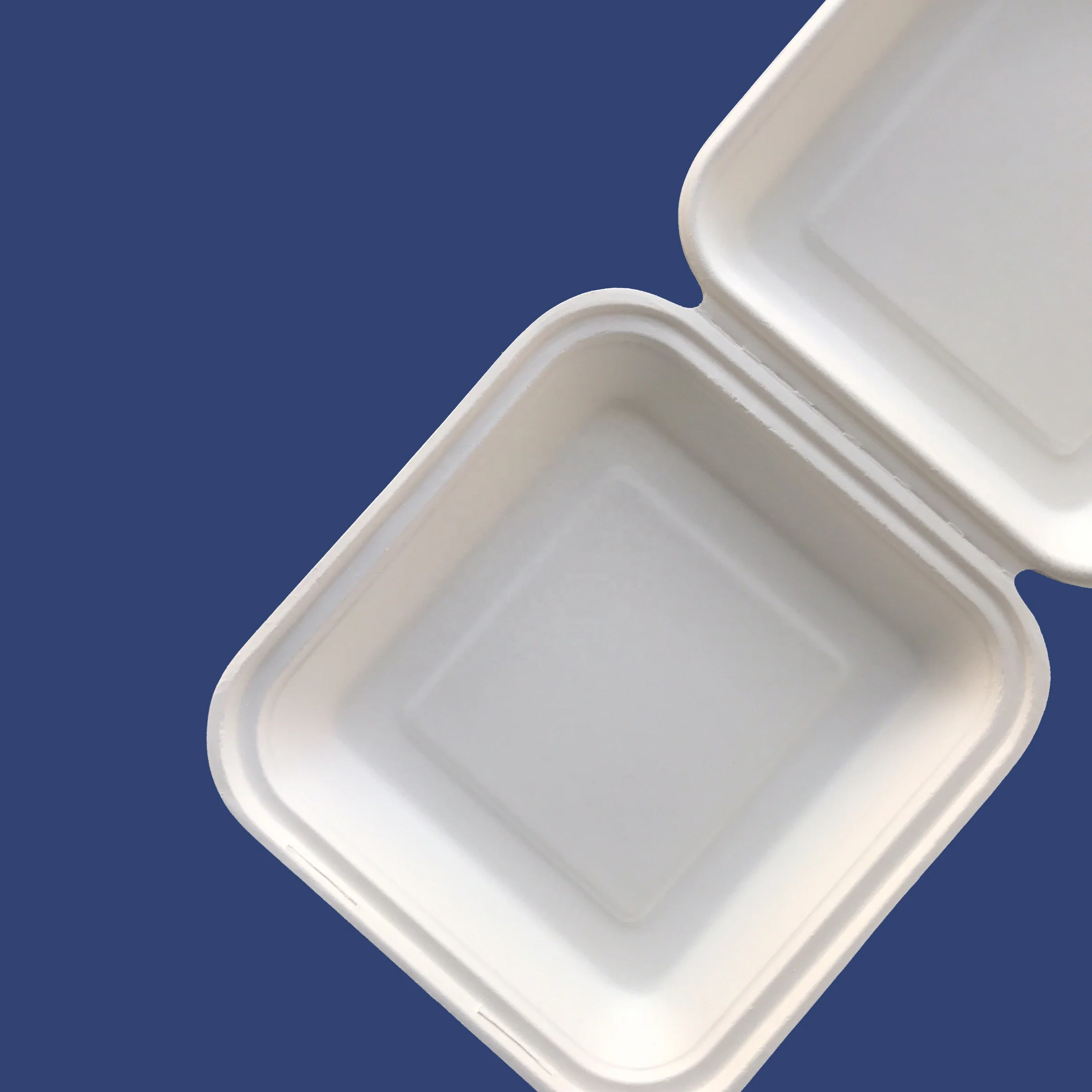wholesale compostable sugarcane takeaway lunch box bagasse disposable biodegradable clamshell food container