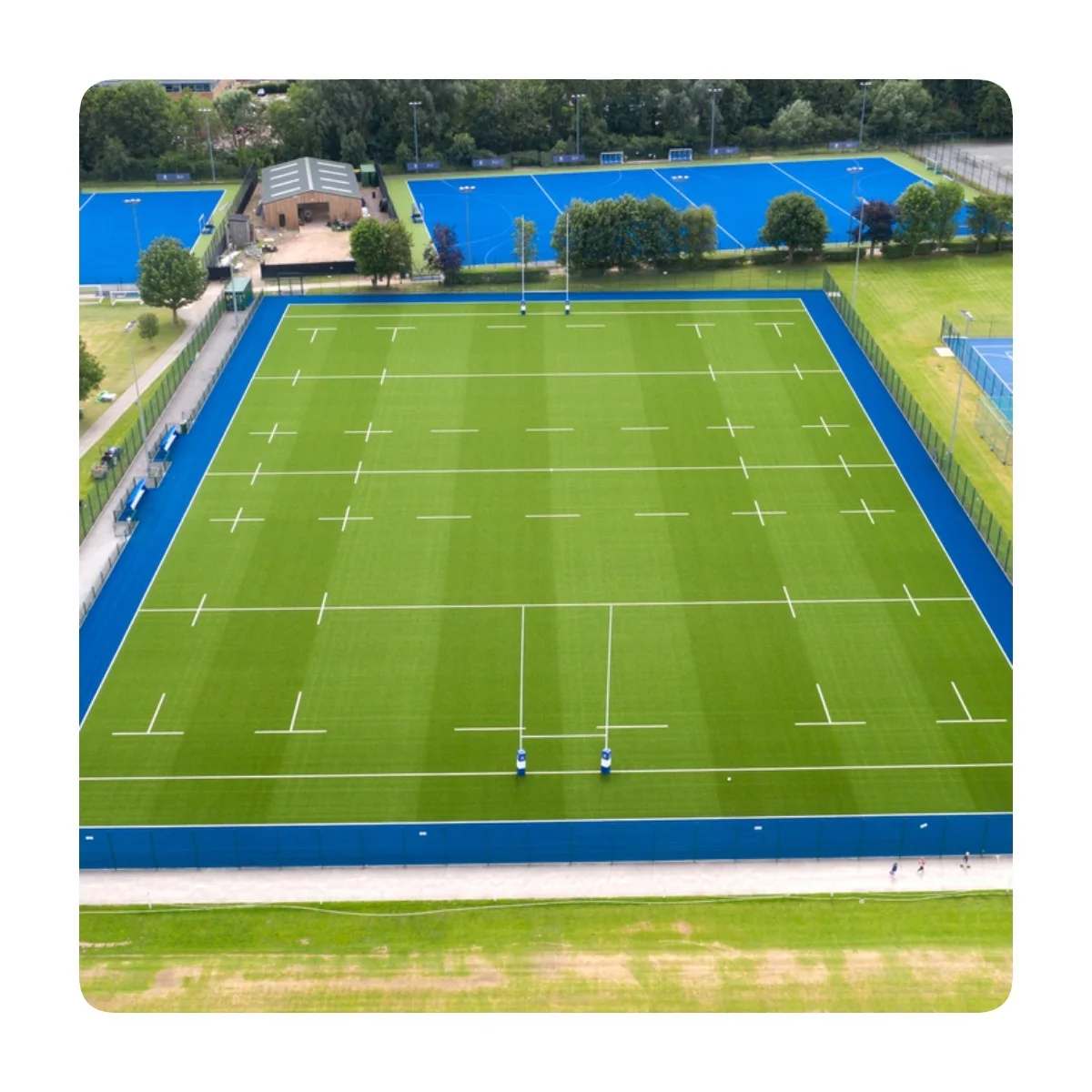 Professional Rugby Grass Turf Field Manufacturer Factory
