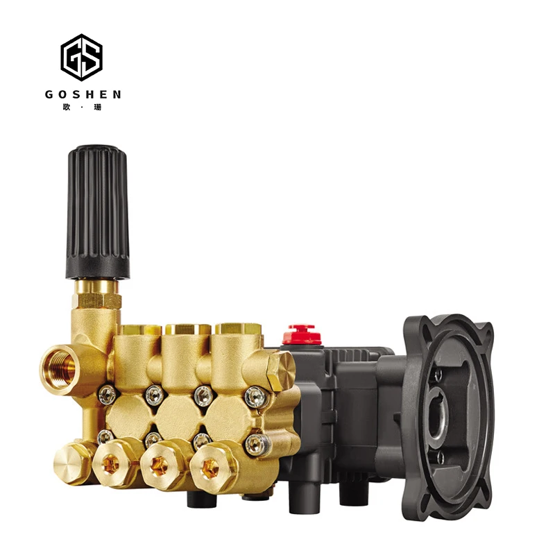 OEM 100bar плунжерный водяной насос высокого давления