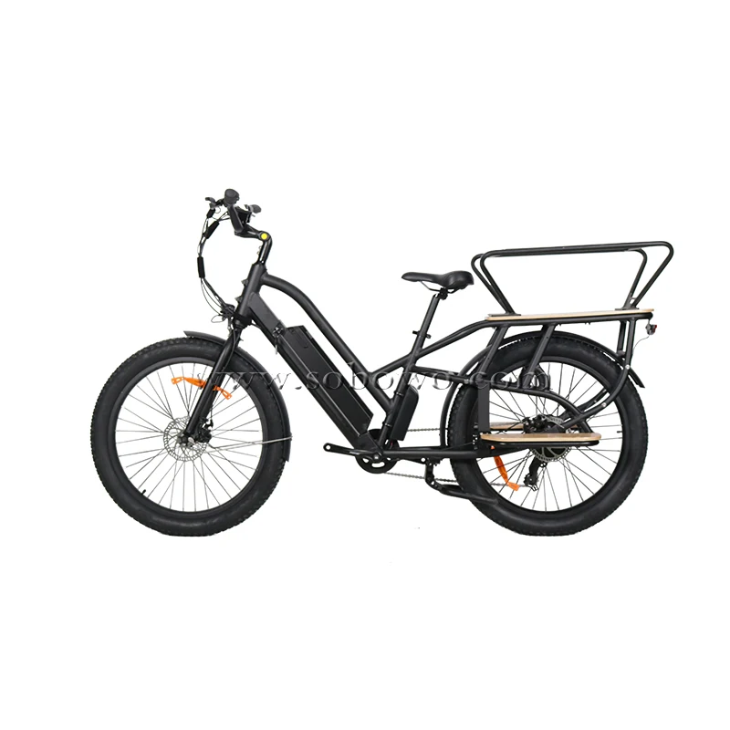 Convenient dual battery long seat ebike 750W powerful motor electric cargo bike