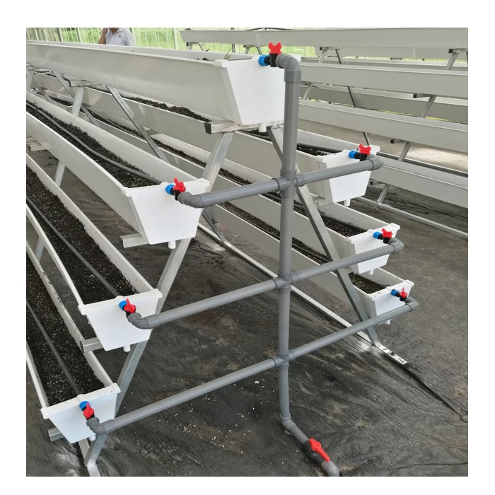 Agriculture Greenhouse Vertical Hydroponics Growing System for Strawberry