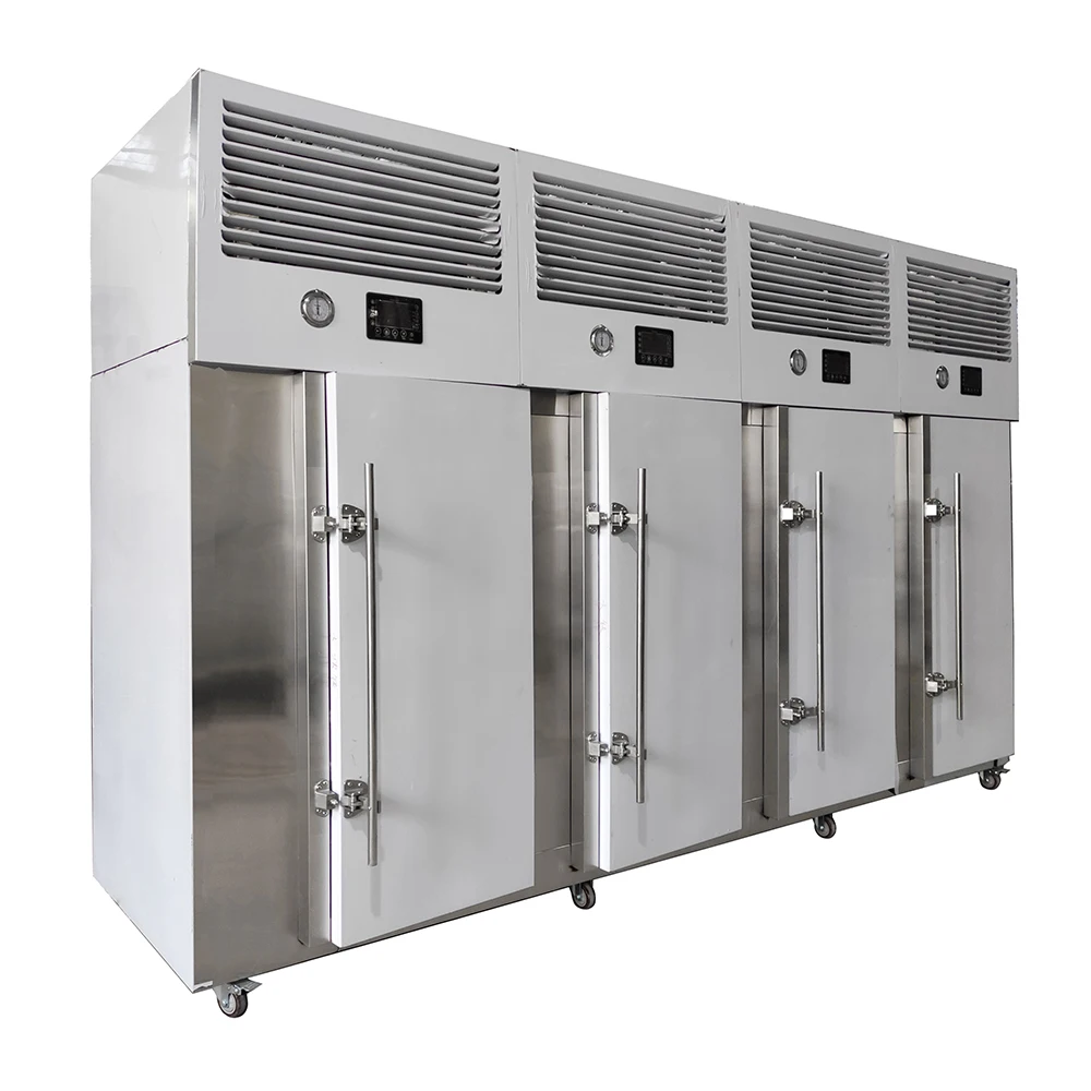 Automatic Fast Freezing Chicken Equipment IQF Mango Machine Blast Frozen Chiller Shock Quick Freezer