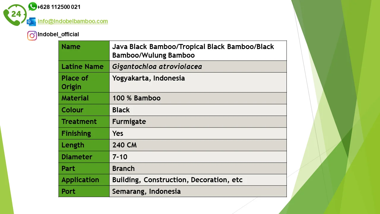 
High Quality Indonesia Bamboo Black Bamboo Treated For Construction 240cm 