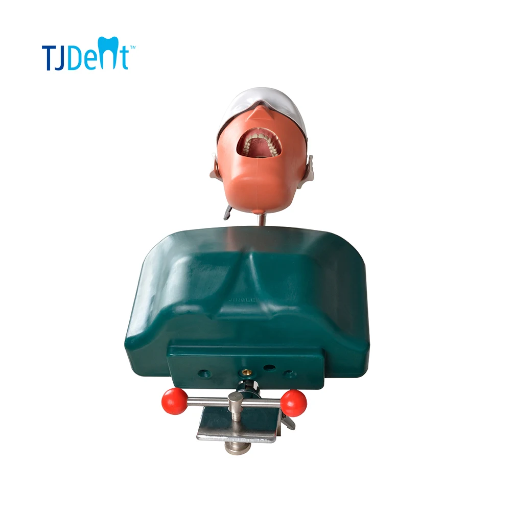 phantom head simulator dental magnetic jaw surgical dental simulator dental simulation unit