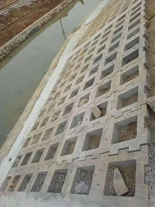 2022 New Design Customizable Interlocking block slope protection moulds River self-locking cement blocks Prefabricated