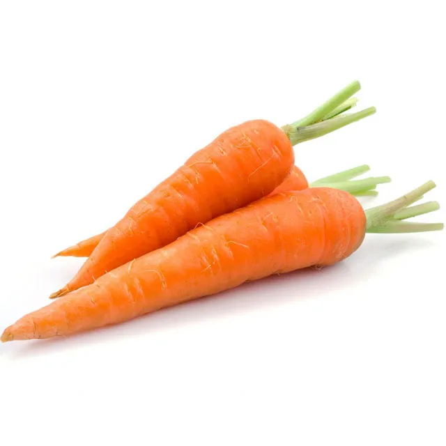 
Season 2020 From Vietnam organic fresh carrot size S M L 2L 3L carton box 5kg 10kg length size 16-24cm 