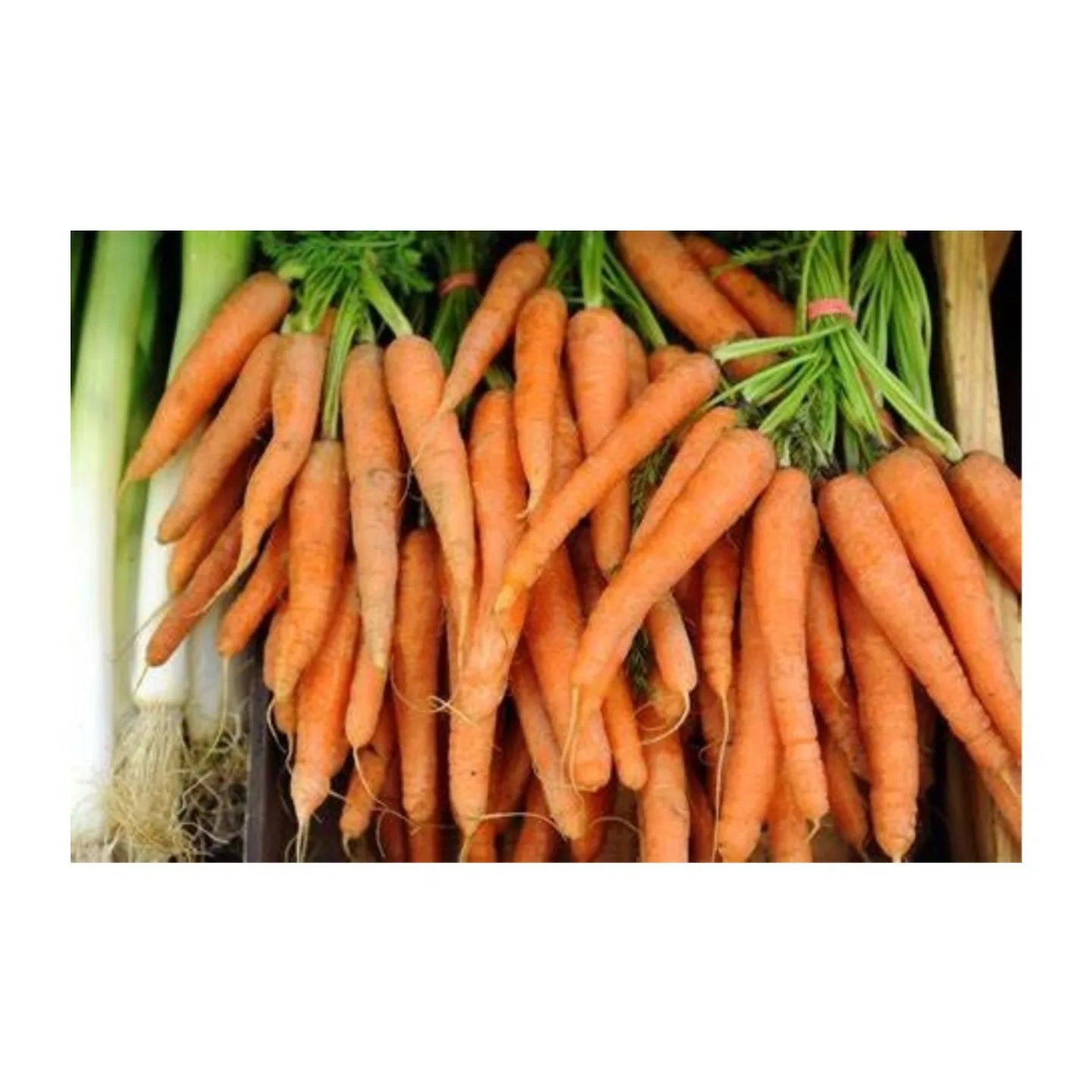 Лучшая цена, свежая морковь, красная оранжевая морковь, новый урожай 2021