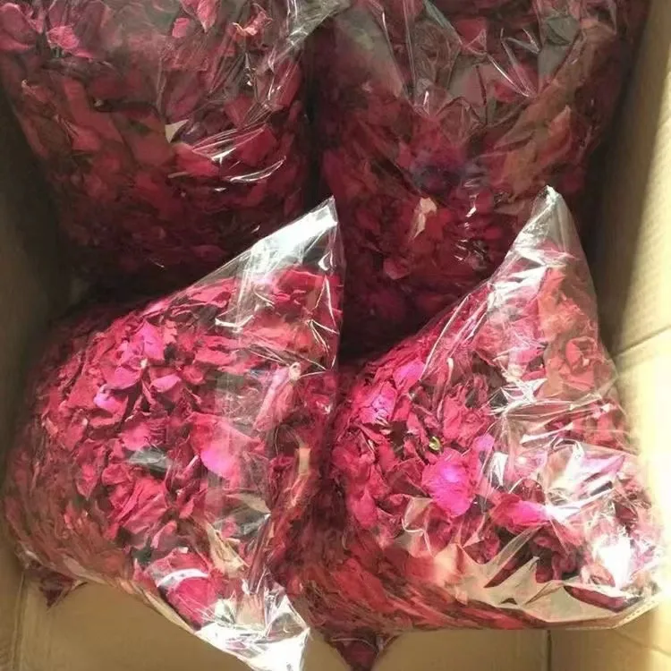 Хит продаж сушеный Розовый пион